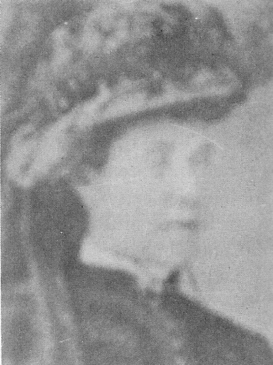 Marie Nilsson (1857 - 1924) Profile